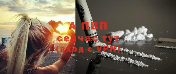 гашик Инсар