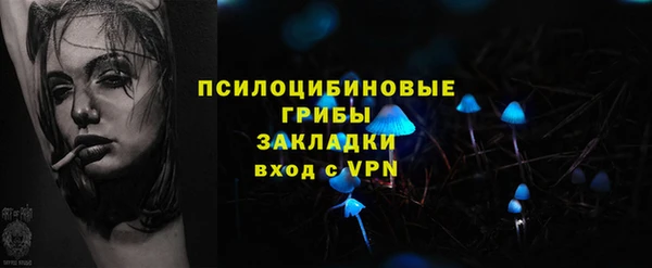 гашик Инсар
