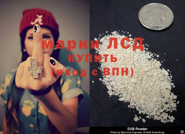гашик Инсар