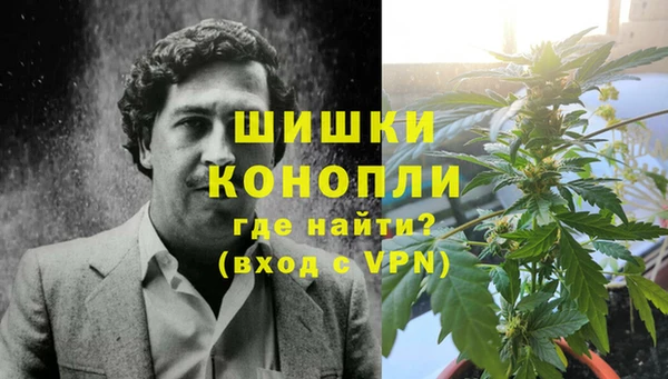 гашик Инсар