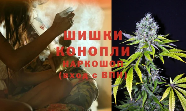 прущие крисы Инта