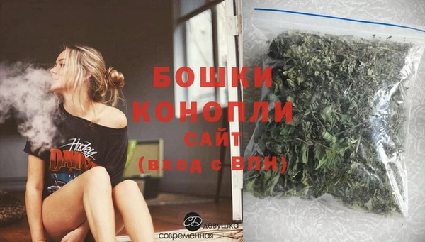 гашик Инсар