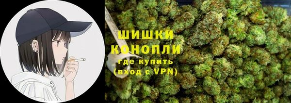 гашик Инсар